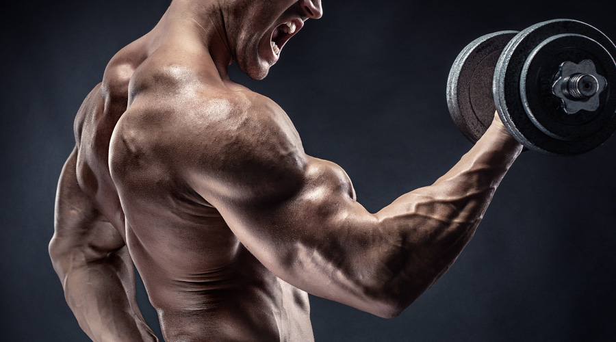 Bodybuilding Tips – Focusing On Right Muscle Proportion Bodybuilding Tips - Focusing On Right Muscle Proportion