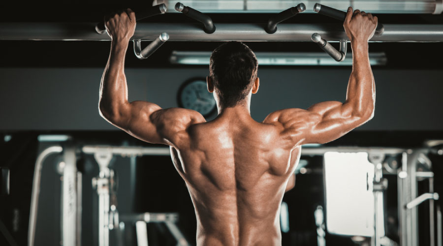 Top 5 Exercises for Growing Lats Top 5 Exercises for Growing Lats