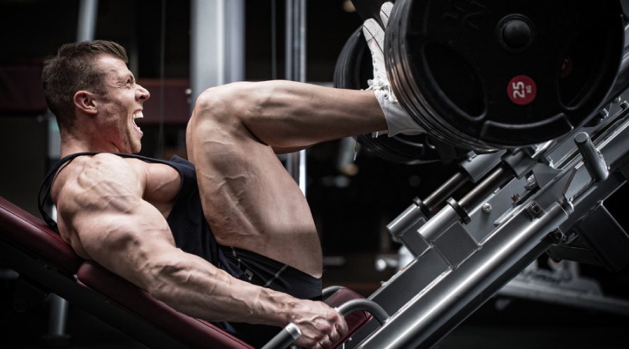 Squats Vs Leg Press Which Exercise is Better?