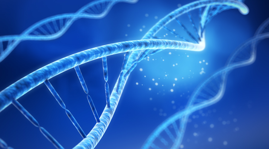 Did You Inherit Fat Genes? Did You Inherit Fat Genes?