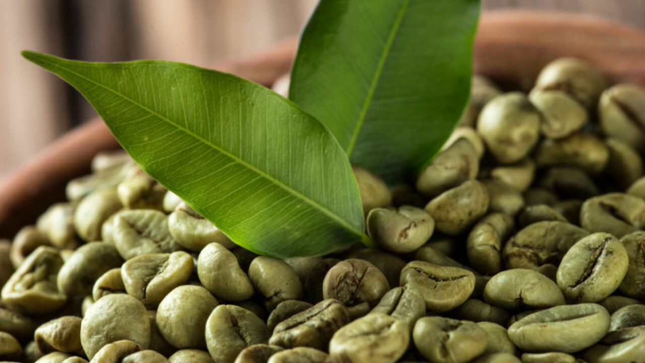 Green Coffee Bean Extract Uses and Side Effects · HealthKart