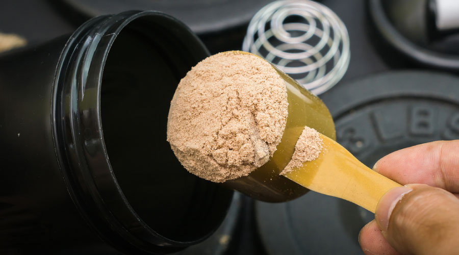 6 Best Protein Powder For Muscle Building Best Protein Powder