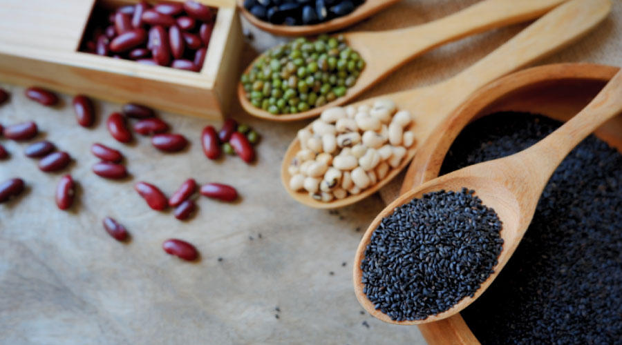 HighProtein Vegan Foods For Muscle Building Healthkart