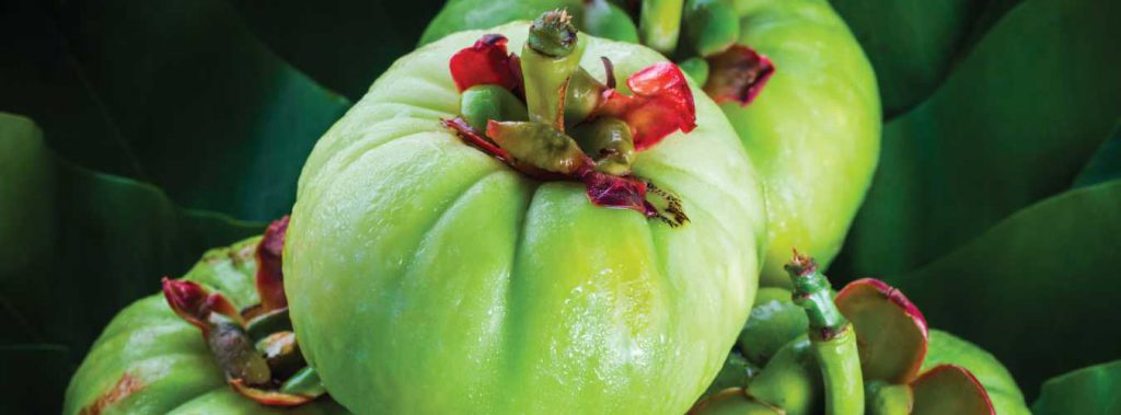 Garcinia Cambogia for Weight Loss: Supplement Reviews, Benefits and Facts garcinia cambogia