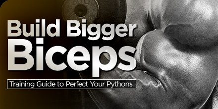 Top 5 exercises to build MASSIVE biceps!