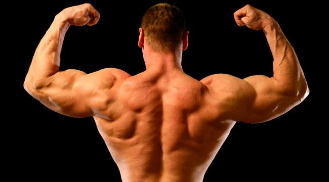 Top 5 exercises for growing lats