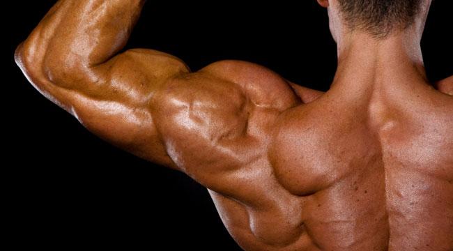 Top 5 exercises to build BOULDER SHOULDERS! Shoulders. Image source: fitandshredded.com