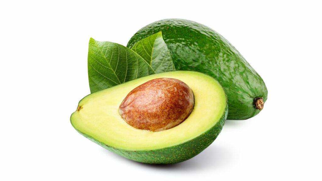 Avocado Avocado