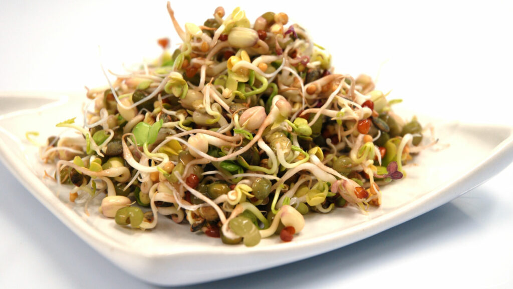 Sprout Salad