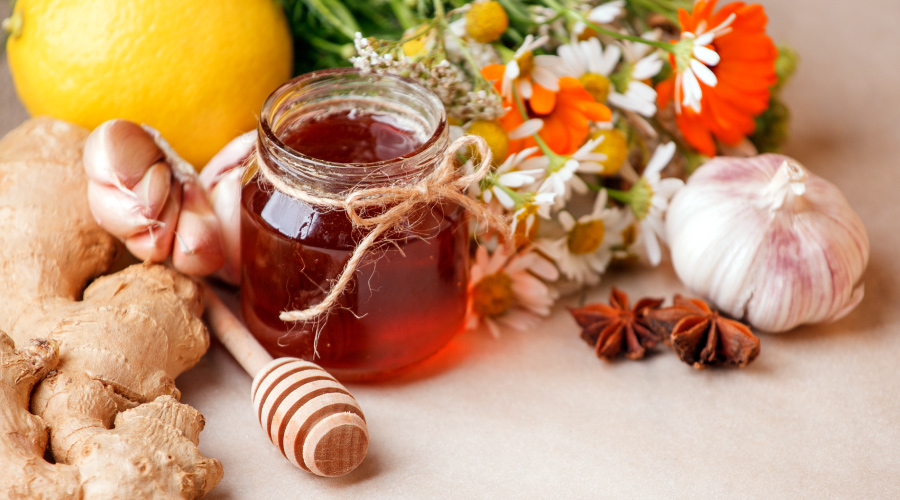 7 Medicinal Herbs for Winter Wellness