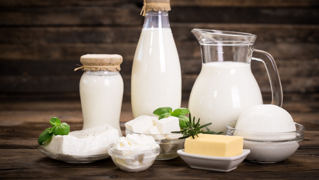 dairy items to gain weight