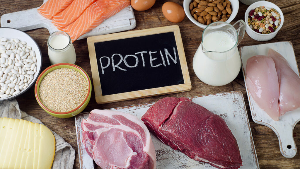 Protein