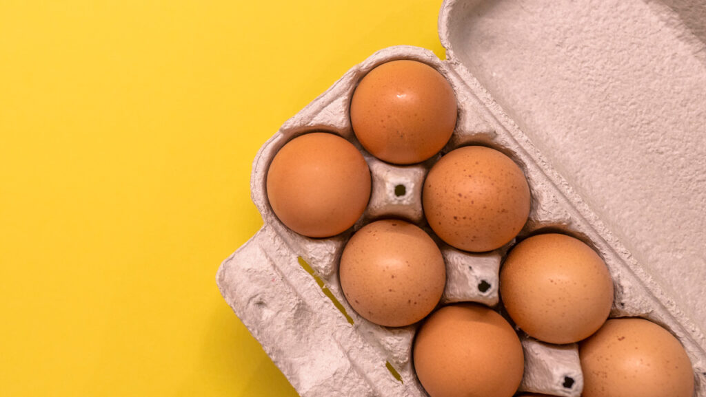 egg