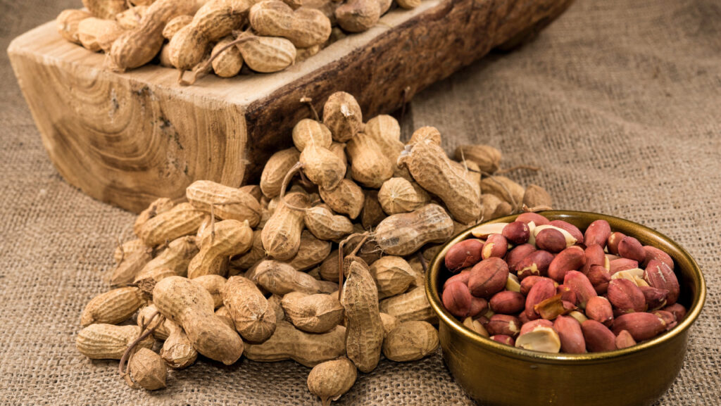 foods to gain muscle