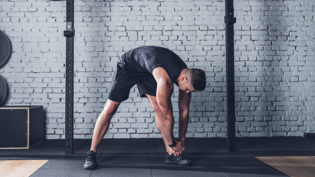 Gym workout plan