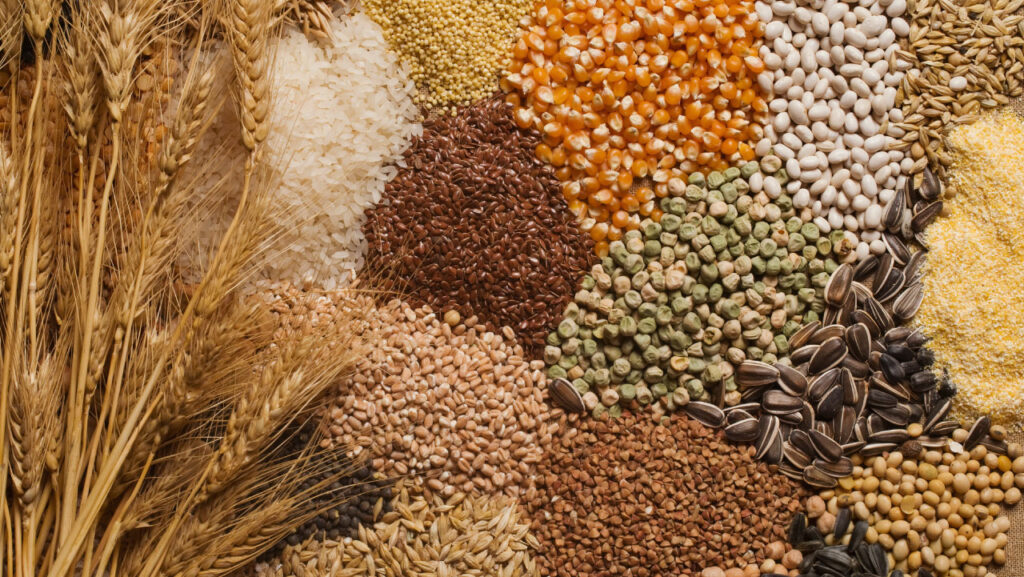 Grains Grains
