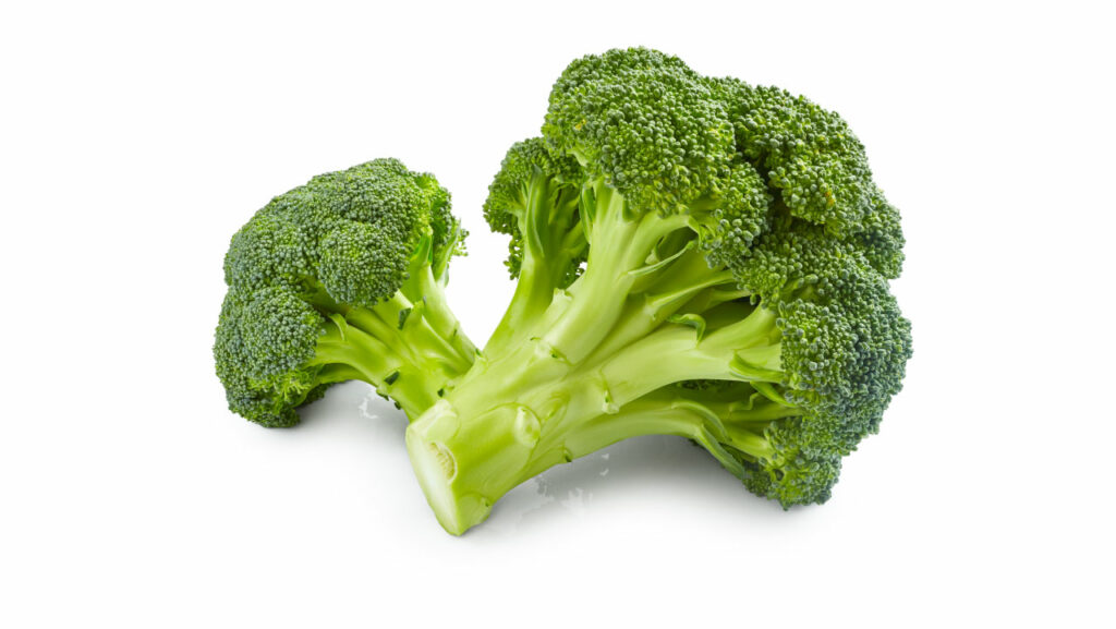 Protein supplements options