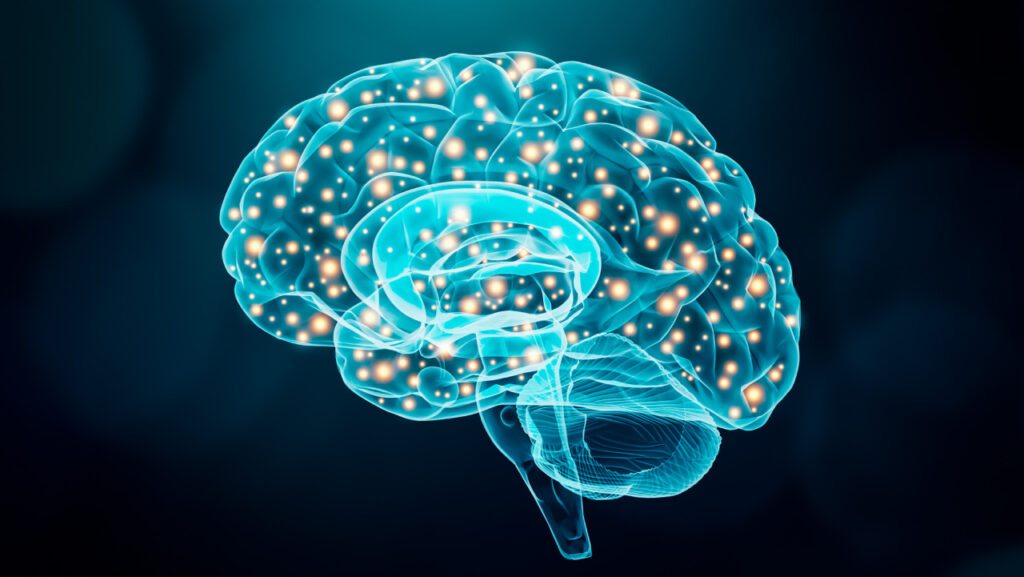 Improves cognitive function