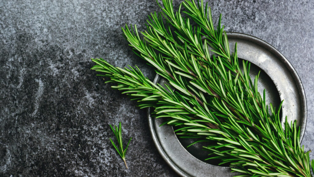 herbs for weight loss