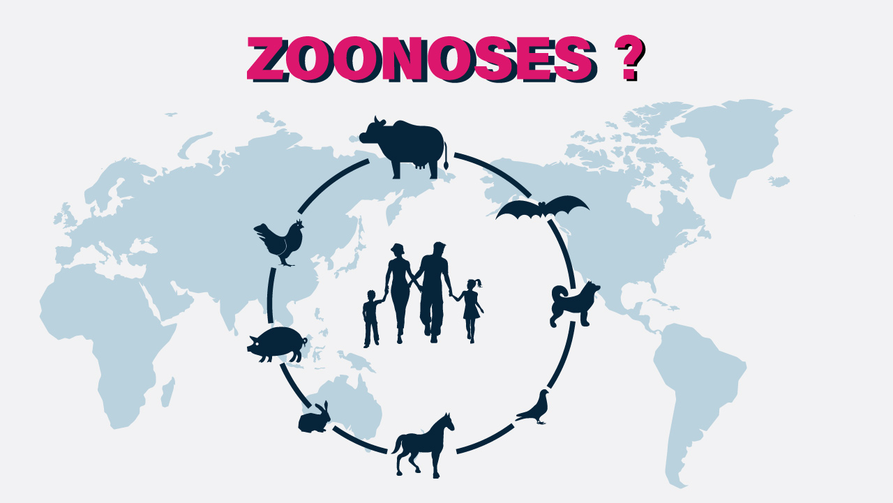 World Zoonoses Day Why is it Important in Covid TimesHealthKart