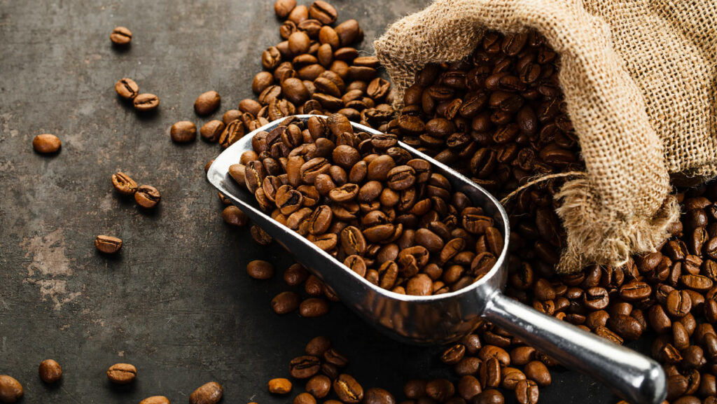 Beans rich in antioxidants
