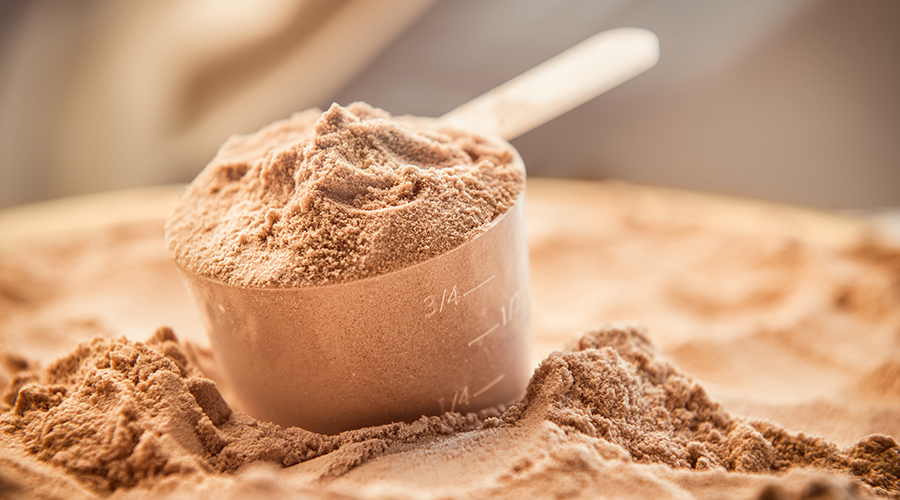 How To Choose The Best Protein Powder For You? best protein powder