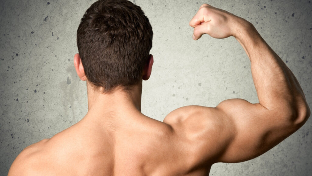 mass gainer protein in your daily diet
