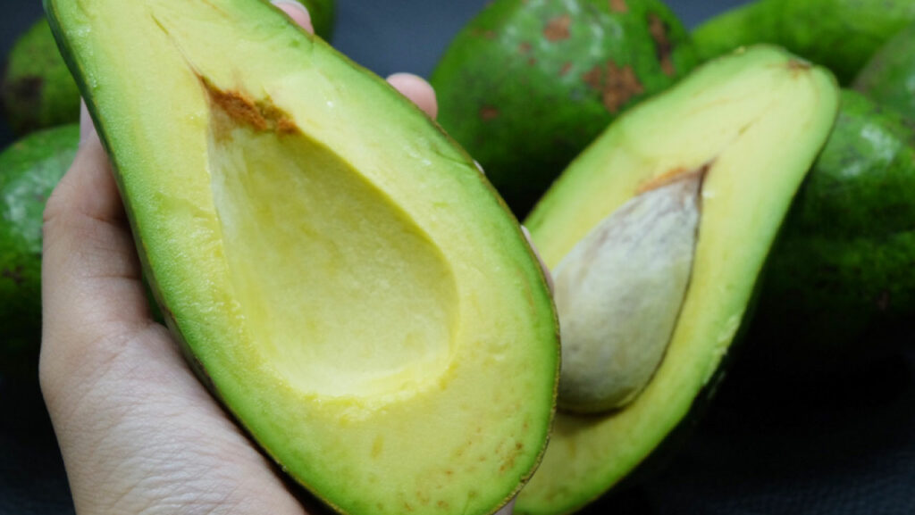 Avocado