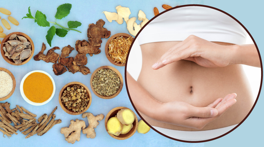 5 Healthy Stomach Herbs For Digestive Care herbs for digestive care