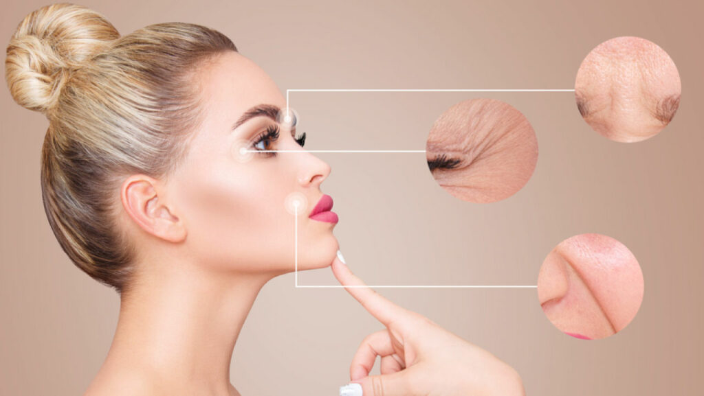Giloy Promotes Skin Regeneration