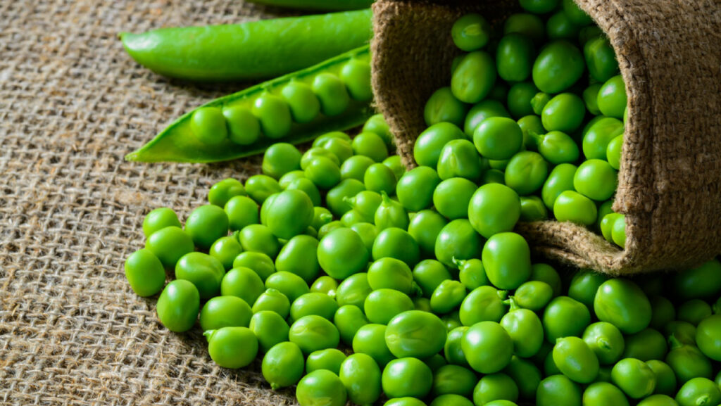 Green Peas - vegetable protein