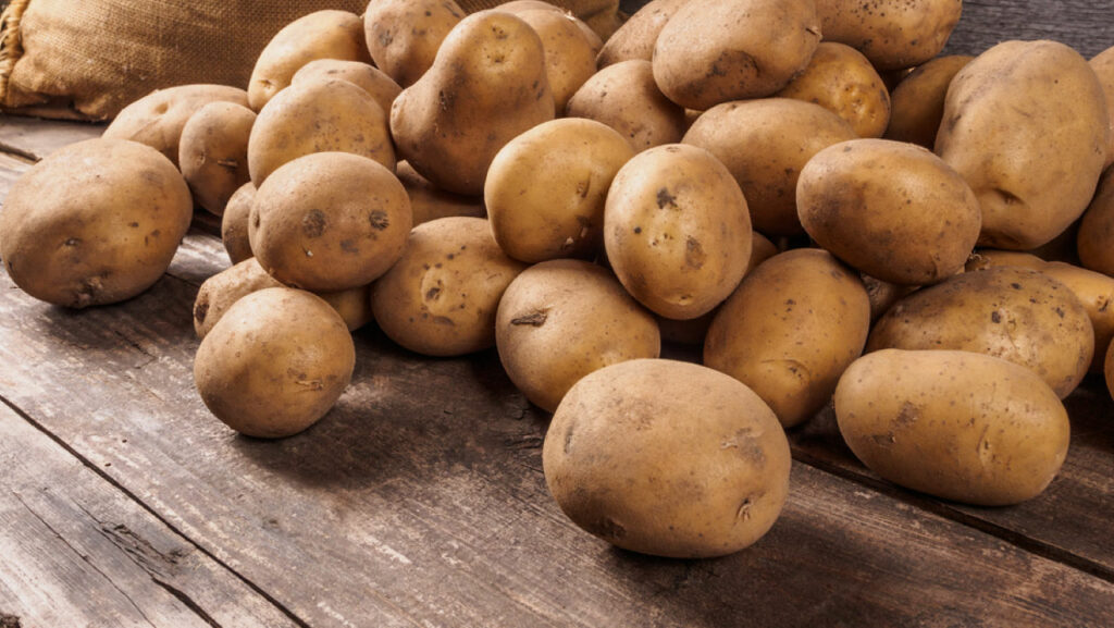 Potatoes protein