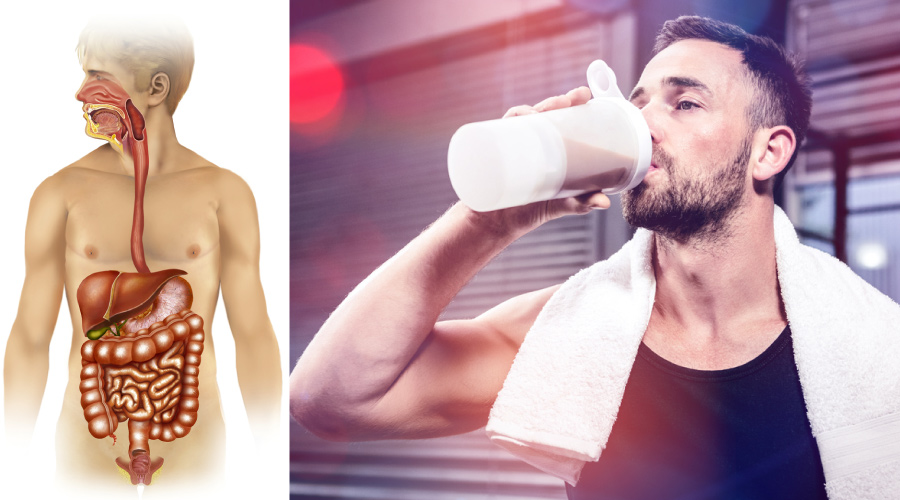 Protein Absorption Maximizing Nutrient Uptake HealthKart