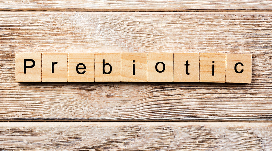 Understanding How Prebiotics Benefit Gut Health what are prebiotics for digestive health