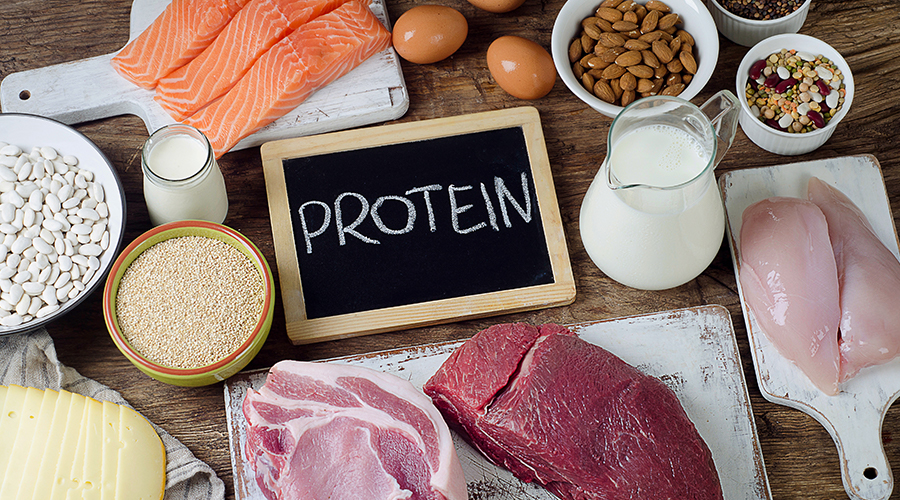What Are The Easiest Proteins To Digest? digestible proteins