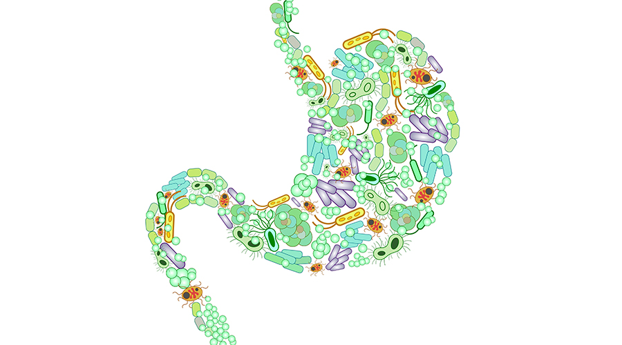 Get a Healthy Gut: 7 Ways to Improve Gut Microbiome healthy gut