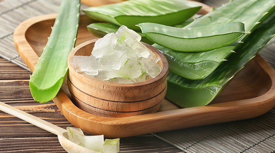 Aloe Vera for Hair: How does it Help? Aloe Vera for Hair