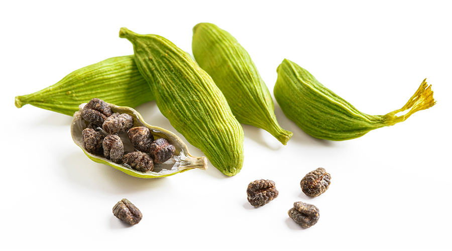 Cardamom For Weight Loss: Does it really work? Cardamom For Weight Loss