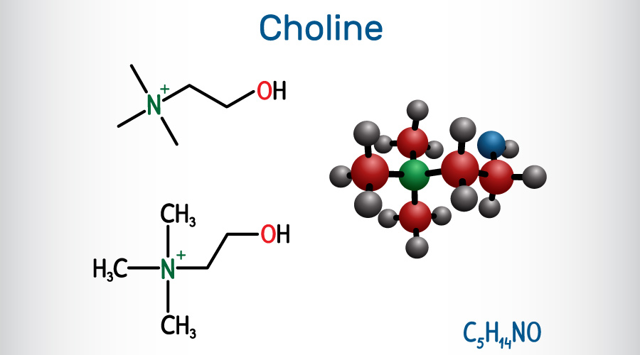 Choline: Benefits, Sources, Risks & Dosage choline