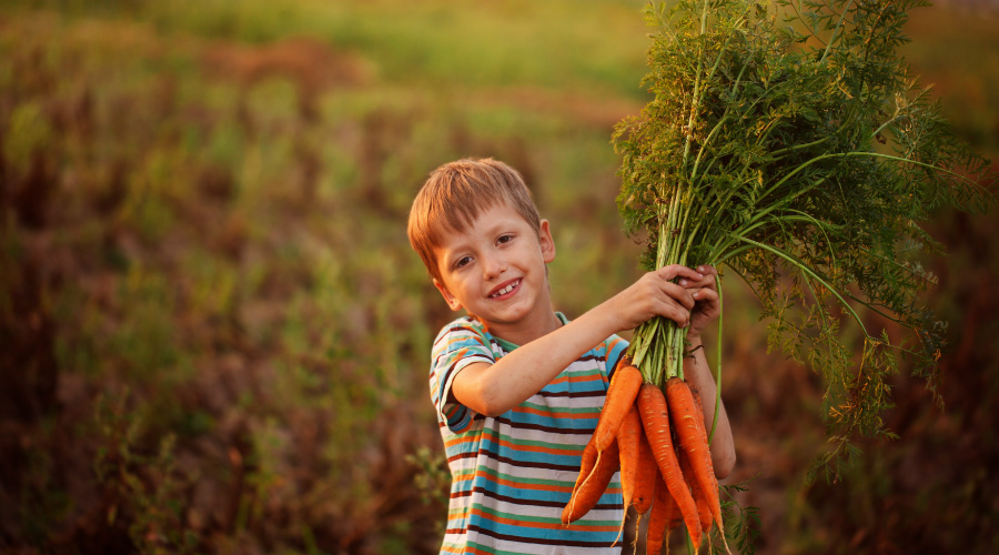 Carrot Benefits That are Great for Your Kids Carrot benefits