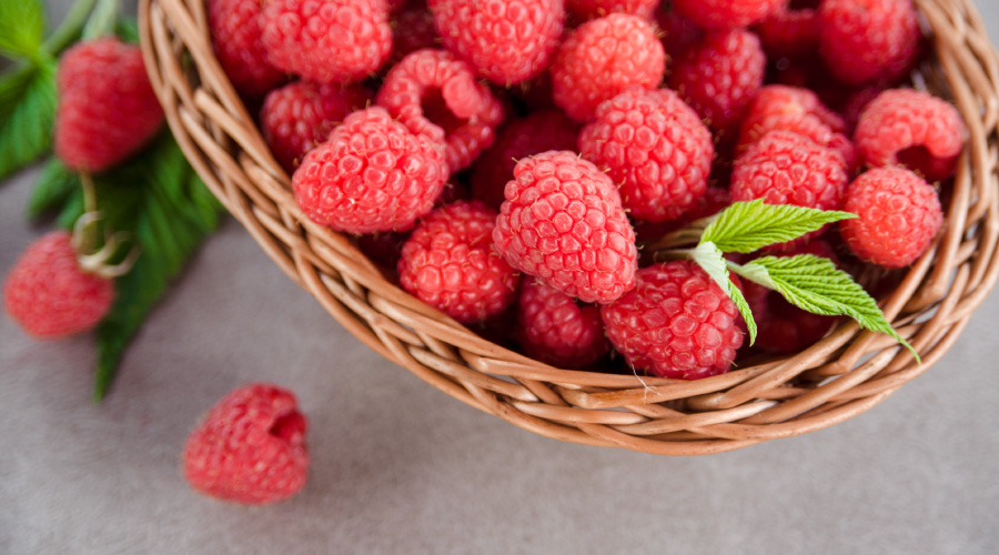 Raspberry Benefits That Make It a Healthy Addition to Your Diet Raspberry Benefits