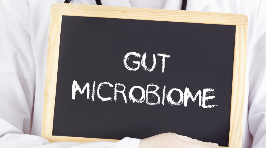 Gut Microbiome and Its Role In Digestive Health Gut Microbiome