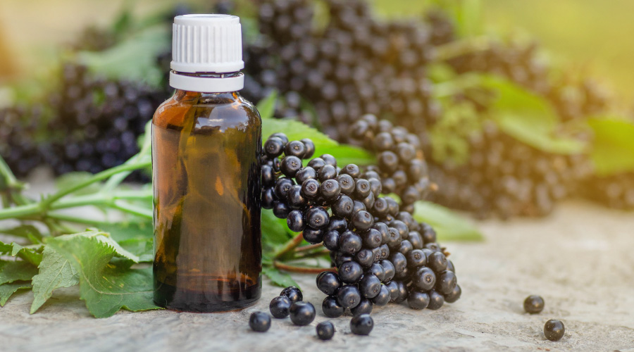 Elderberry Benefits You Should Know Elderberry benefits
