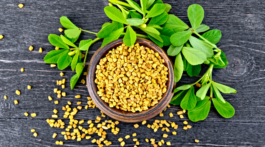 Fenugreek as a Natural Testosterone Booster HealthKart