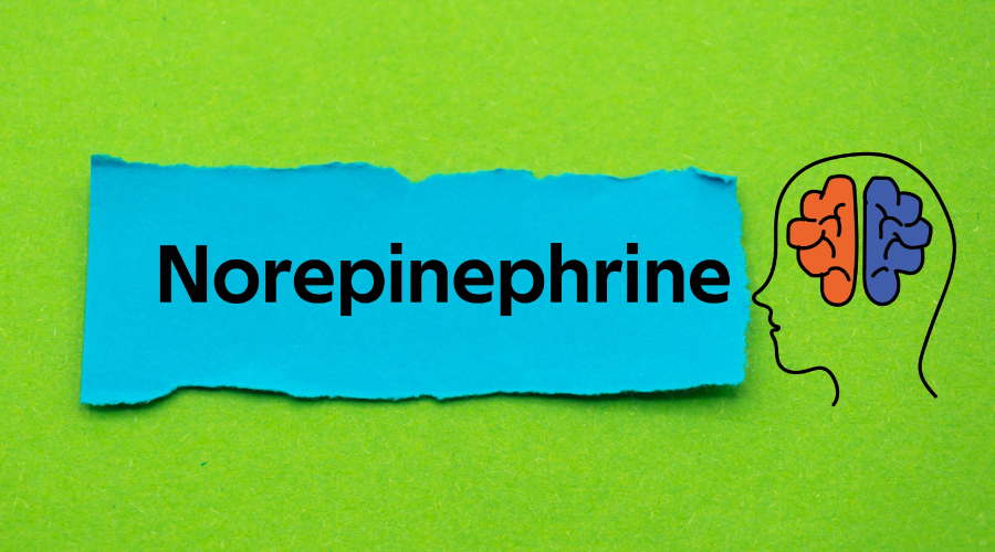 All about hormone norepinephrine HealthKart