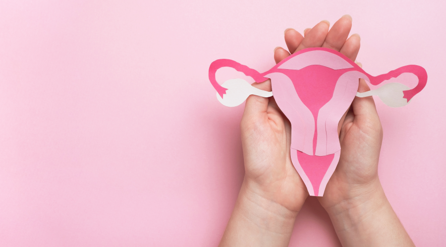 Anatomy Of Clitoris All You Need To Know HealthKart