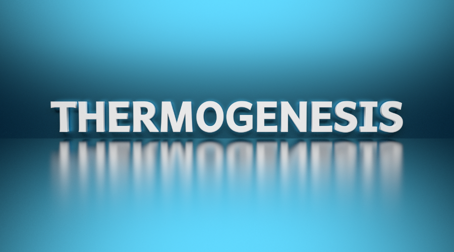 What is Thermogenesis? How Does It Help in Weight Loss? What is Thermogenesis