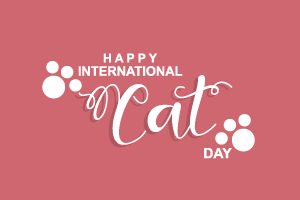 International Cat Day: Does Petting a Cat Help Your Mental Health? Mental Health