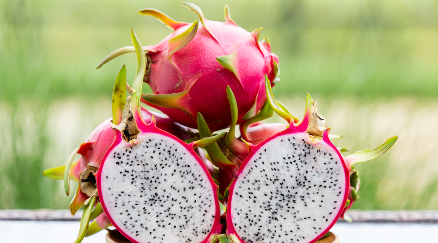 8 Dragon Fruit Benefits That You Should Know Dragon Fruit