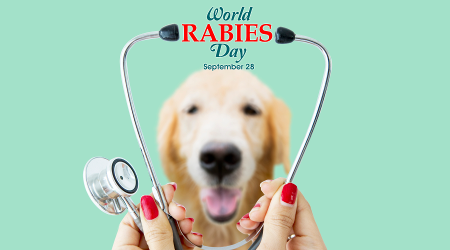 World Rabies Day: Ways to Prevent Rabies World Rabies Day